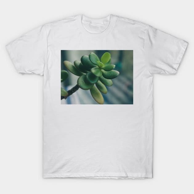 Money Tree T-Shirt by hextrovert